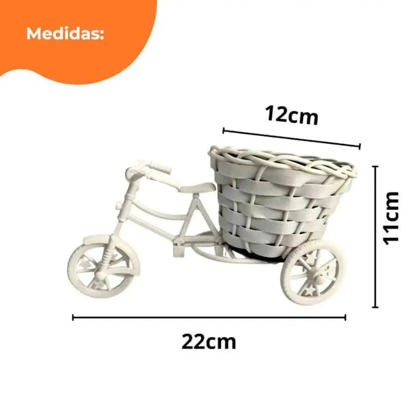 Vaso de plantas- Mini bicicleta