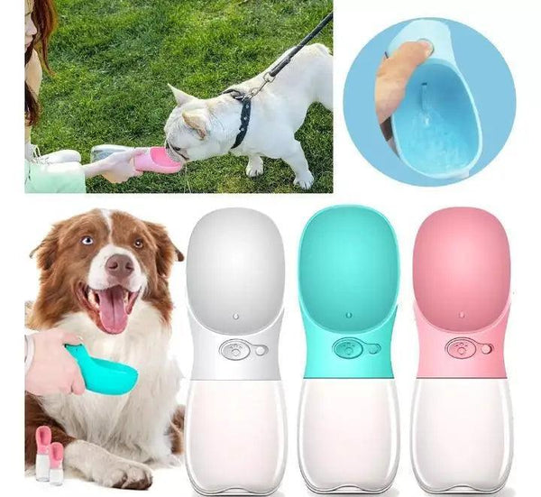 Bebedouro portátil para cães e gatos