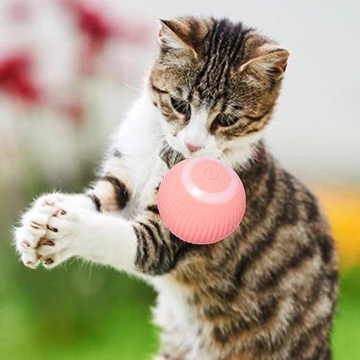 Bola de brinquedo automática para gatos