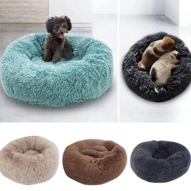 Cama pet