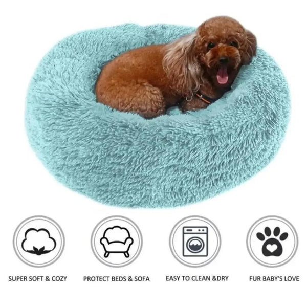 Cama pet