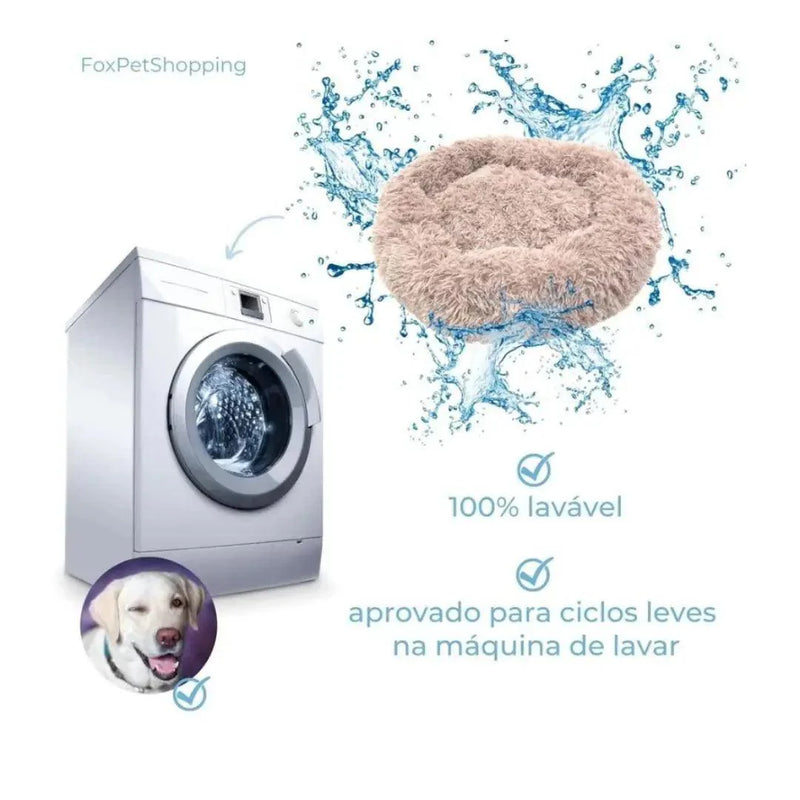 Cama pet