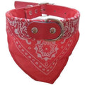 Coleira com Bandana