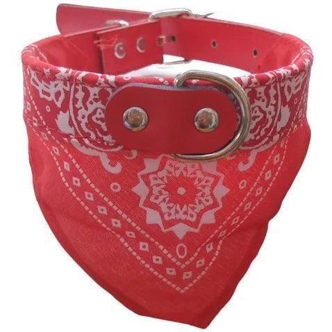 Coleira com Bandana