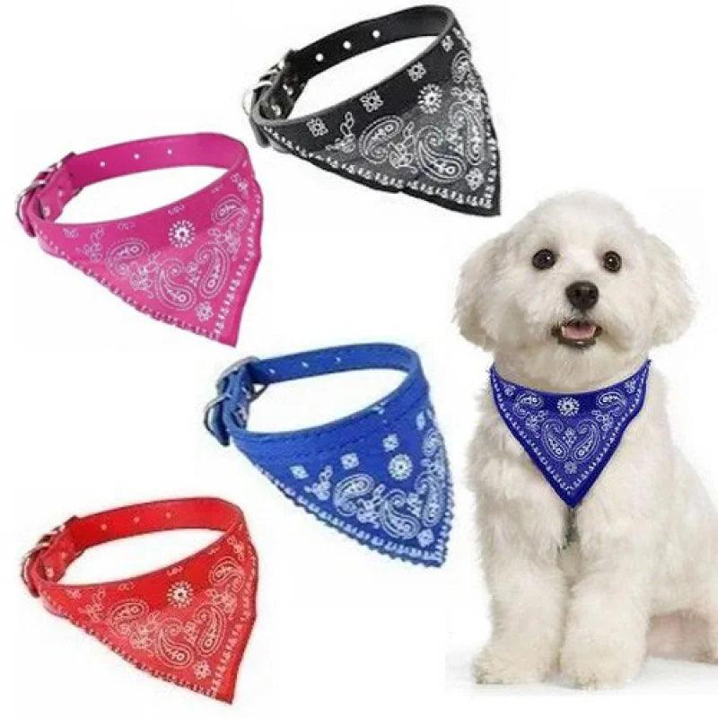 Coleira com Bandana