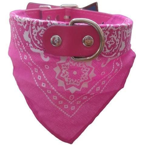 Coleira com Bandana