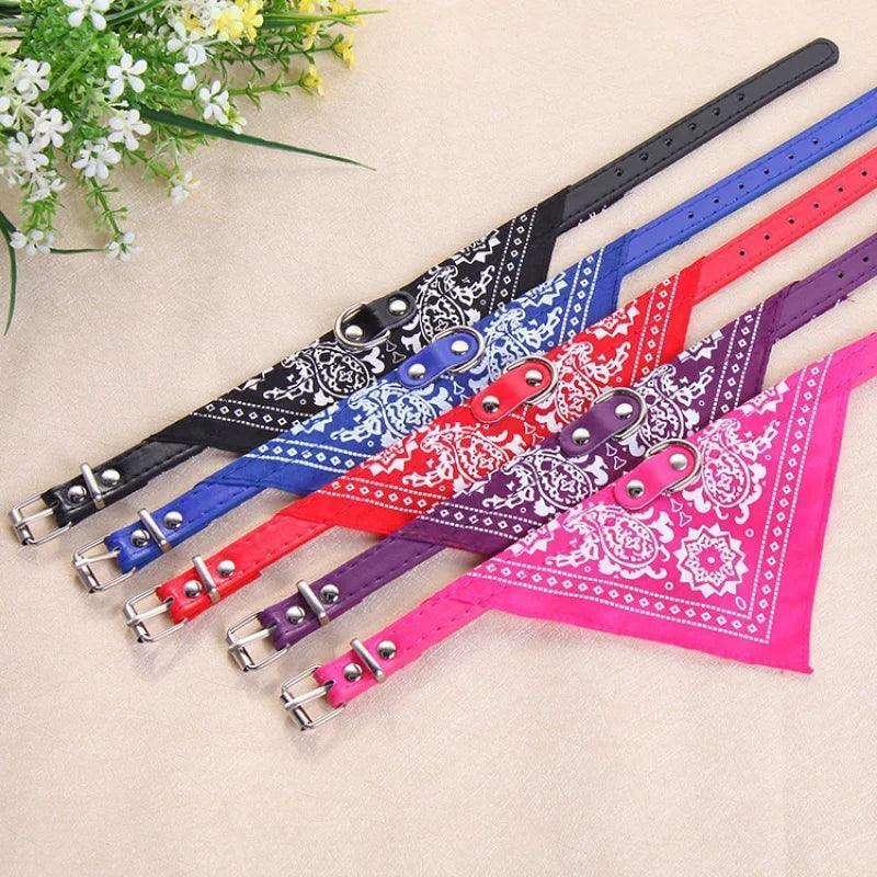 Coleira com Bandana