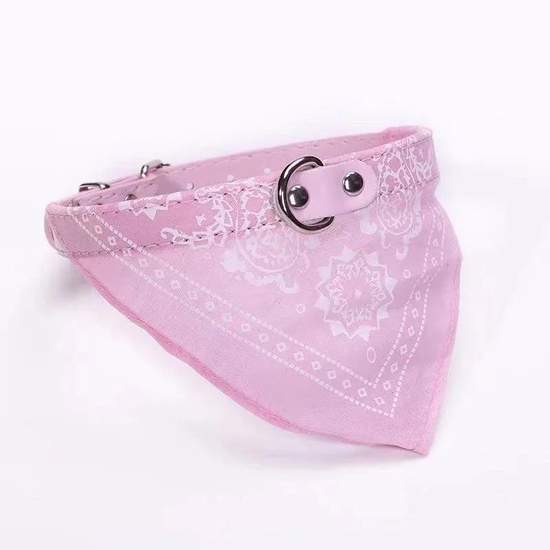 Coleira com Bandana