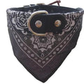 Coleira com Bandana