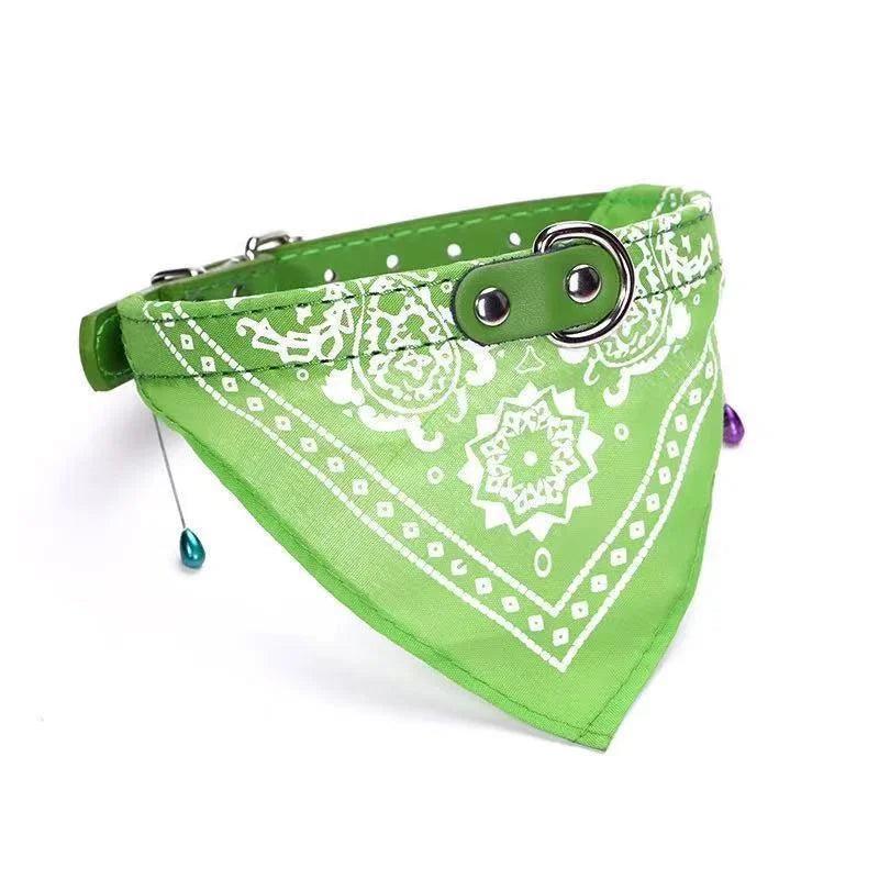 Coleira com Bandana