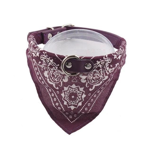 Coleira com Bandana