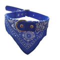 Coleira com Bandana