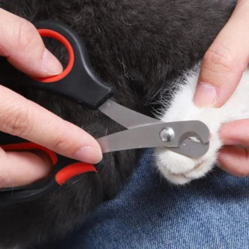 Cortador de unhas pet