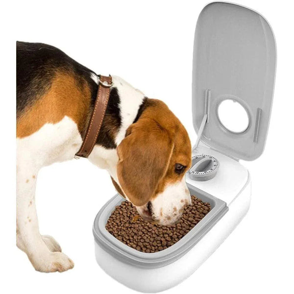 Tigela alimentadora com timer